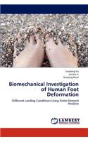 Biomechanical Investigation of Human Foot Deformation