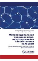 Mitokhondrial'naya Lipidnaya Pora, Indutsirovannaya Pal'mitatom I Kal'tsiem