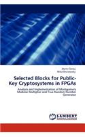 Selected Blocks for Public-Key Cryptosystems in FPGAs