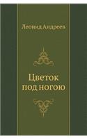 Tsvetok Pod Nogoyu
