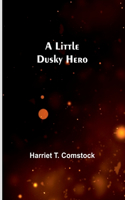 Little Dusky Hero