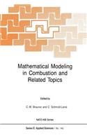 Mathematical Modeling in Combustion and Related Topics