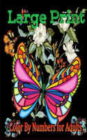 Large Print Color By Numbers for Adults: Coloring Book Of Birds, Flowers and More: Simple Anti Anxiety Coloring Relaxation