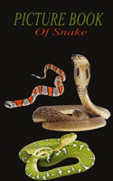 Picture book of snake