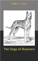 The Dogs of Boytown