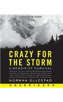 Crazy for the Storm