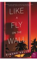 Like A Fly On The Wall