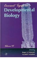 Current Topics in Developmental Biology (Volume 45)