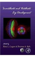 Invertebrate and Vertebrate Eye Development
