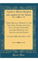 Third Biennial Report of the Trustees, Superintendent, Etc;, Of the Northern Illinois Hospital and Asylum for the Insane: Located at Eglin; December 1, 1874 (Classic Reprint)