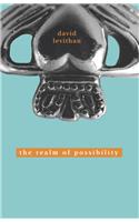 The Realm of Possibility