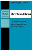 Microfoundations