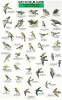 Mac's Field Guides: Northeast Park & Backyard Birds