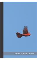 flying cardinal notes