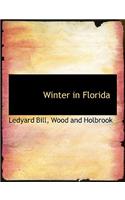 Winter in Florida