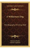 A Wilderness Dog