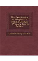 The Examination of Prospects: A Mining Geology: A Mining Geology