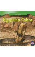 Egyptian Cobra