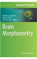 Brain Morphometry