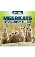 Meerkats Work Together