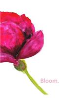 Bloom