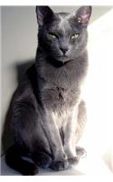 The Korat Cat Journal "Go Change My Litter Box. Now.": 150 page lined notebook/diary