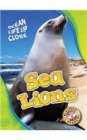 Sea Lions
