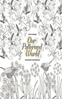 Our Patterned World