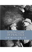 Mining Law in Practice