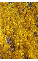 2019 Weekly Planner Forsythia Bush Up Close 134 Pages