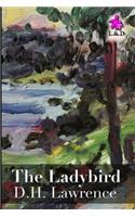 The Ladybird