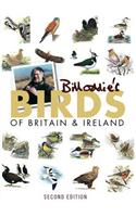 Bill Oddie's Birds of Britain and Ireland