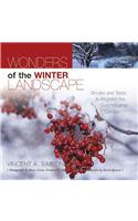 Wonders of the Winter Landscape