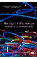 The Digital Public Domain