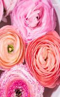 Notebook: Wide-Ruled, Blank Notebook, 110 Pages, (8.5 X 11 Inches), Large, Glossy Cover, Flower Design Covers Entire Front and Back Side, Blank Journal