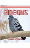 Pigeons