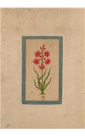 Carnet Ligné Fleur 1, Miniature Indienne 18e Siècle: (Bnf Botanique)