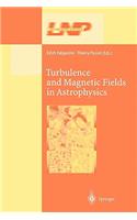 Turbulence and Magnetic Fields in Astrophysics