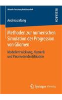 Methoden Zur Numerischen Simulation Der Progression Von Gliomen