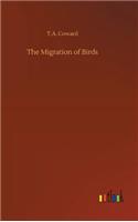 Migration of Birds