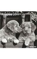 2011 Puppies Grid Calendar