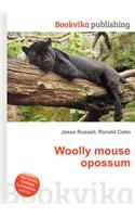 Woolly Mouse Opossum: (English)