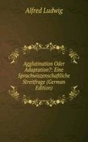 Agglutination Oder Adaptation?: Eine Sprachwiszenschaftliche Streitfrage (German Edition)