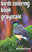 bird coloring book grayscale