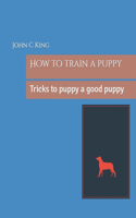 How to train a puppy: Tricks to puppy a good puppy