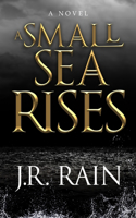 Small Sea Rises