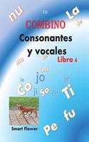 COMBINO CONSONANTES Y VOCALES, libro 6