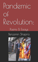 Pandemic of Revolution