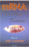Mrna Formation and Function