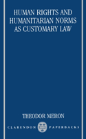 Human Rights and Humanitarian Norms as Customary Law